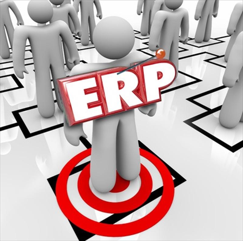 從績效引導進行 ERP導入上線並達管理效益之規劃－以某面板廠為例