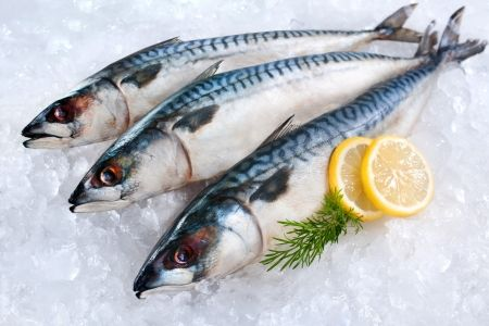 食品製造業向服務化轉型  賦予「鯖魚」新商業價值