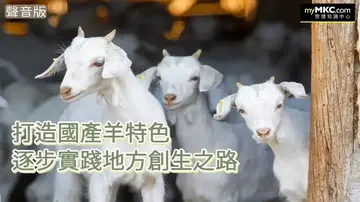 打造國產羊特色，逐步實踐地方創生之路