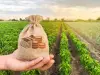 從有機農業認識真實價值成本會計（True Value and Cost Accounting）