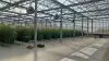 [地方創生] 智慧溫室升級蔬菜產業 青銀共耕打造生產與照護雙贏模式