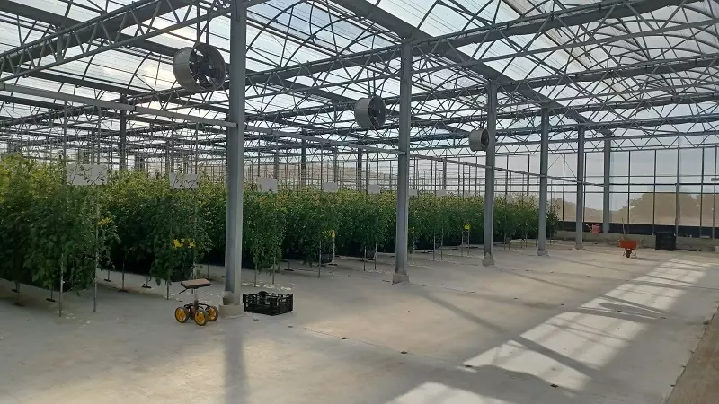[地方創生] 智慧溫室升級蔬菜產業 青銀共耕打造生產與照護雙贏模式