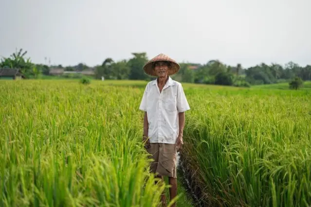 大缺工時代來臨 臺灣農業危機、挑戰與治理新方向