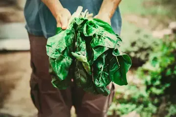 終生學習　農業永續－農業職能基準規劃與應用