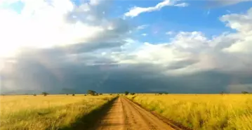 還在新南向？非洲市場正悄然崛起