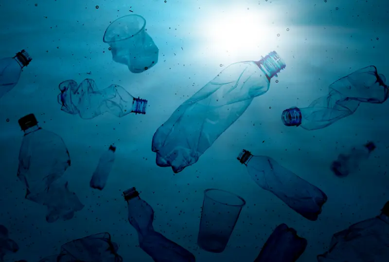 塑膠微粒的汙染超乎想像  海洋碳匯失靈不該是「塑」命