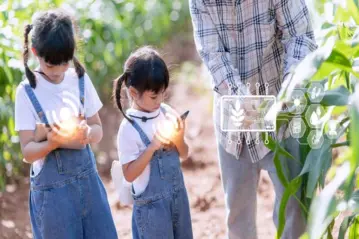 從 2025 年韓國、2026 年日本的新食育五年，歸納臺灣食農教育可借鏡的三個啟示