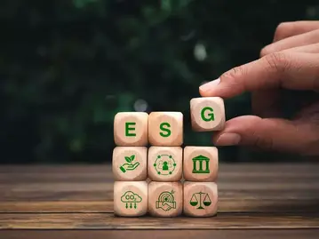 邁向碳中和與多元共融：企業永續發展策略的三大關鍵實踐