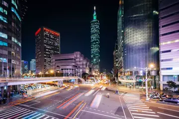 迷霧森林後記－叢林之外