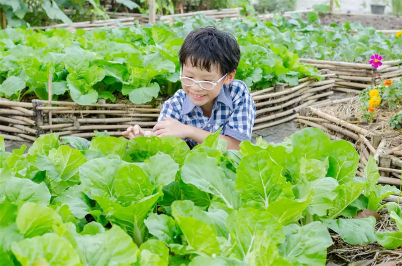 食農教育推廣活動輔導分析