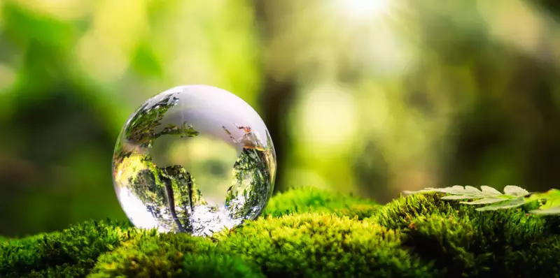 臺灣永續發展目標（T-SDGs）之趨勢