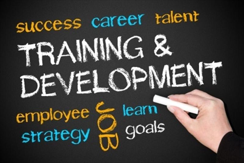 企業建構教育訓練制度的重要性