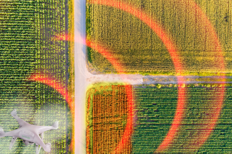 高光譜成像於農業之應用－精準農業與果實選別
