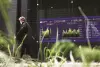日圓升值大利多　日本央行升息對日本產業的影響