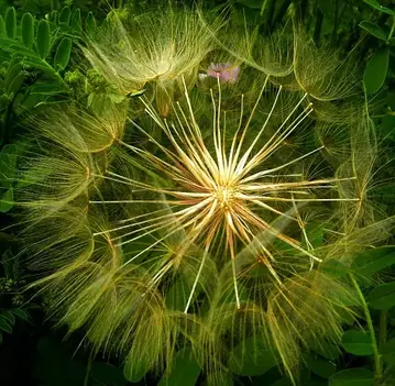 部落格關鍵字行銷的配套策略