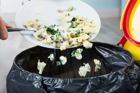 剩食崛起