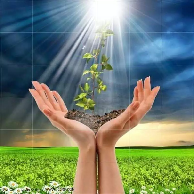 我國創新育成中心借鏡美國企業育成協會(NBIA)之我見