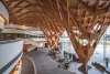 Google、Microsoft 打造永續建築　木構建築復興，開闢永續未來蹊徑