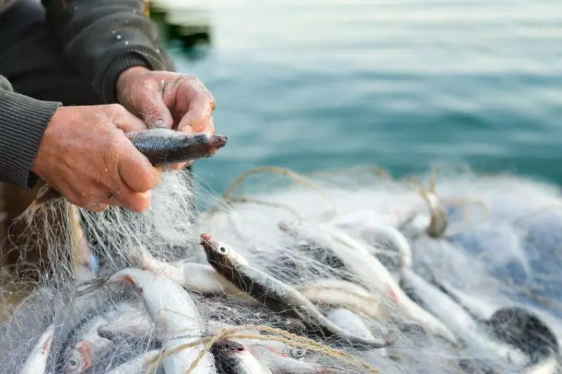 以苗栗慢魚運動為例－探討食魚教育如何開創地方飲食文化新契機