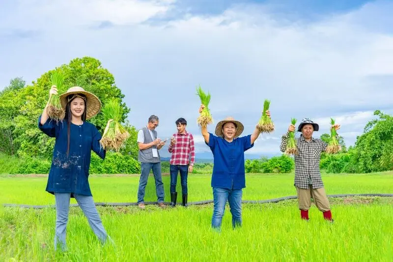 當設計走進農業現場：讓農糧體系成為地方創生引擎的關鍵思維