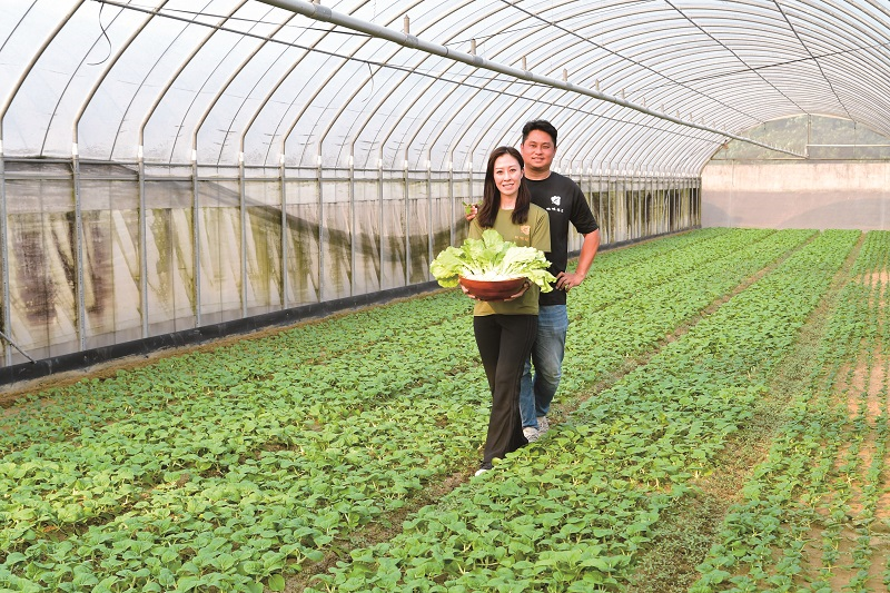 桃城蒔菜農業生產合作社　農三代創新翻土，打造共生、共榮、共好價值鏈