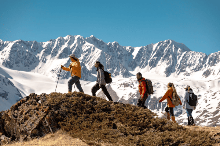 守護王蟲的ESG創新　從宮崎駿到Patagonia 打造綠色乾淨供應鏈