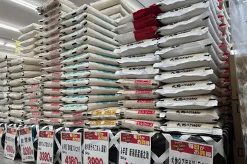 都是氣候變遷惹的禍　日本外食業的白米之亂