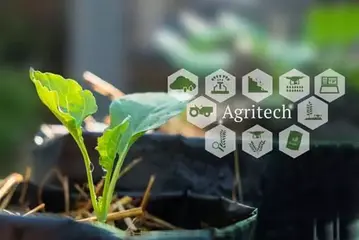 打造智農價值鏈翻轉看天吃飯