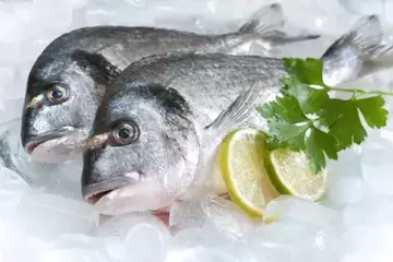 有身份證的魚  ifish品牌行銷