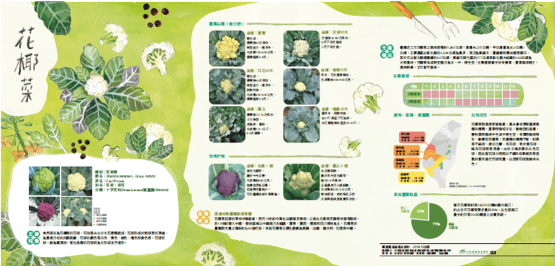國產農漁畜產品教材-花椰菜